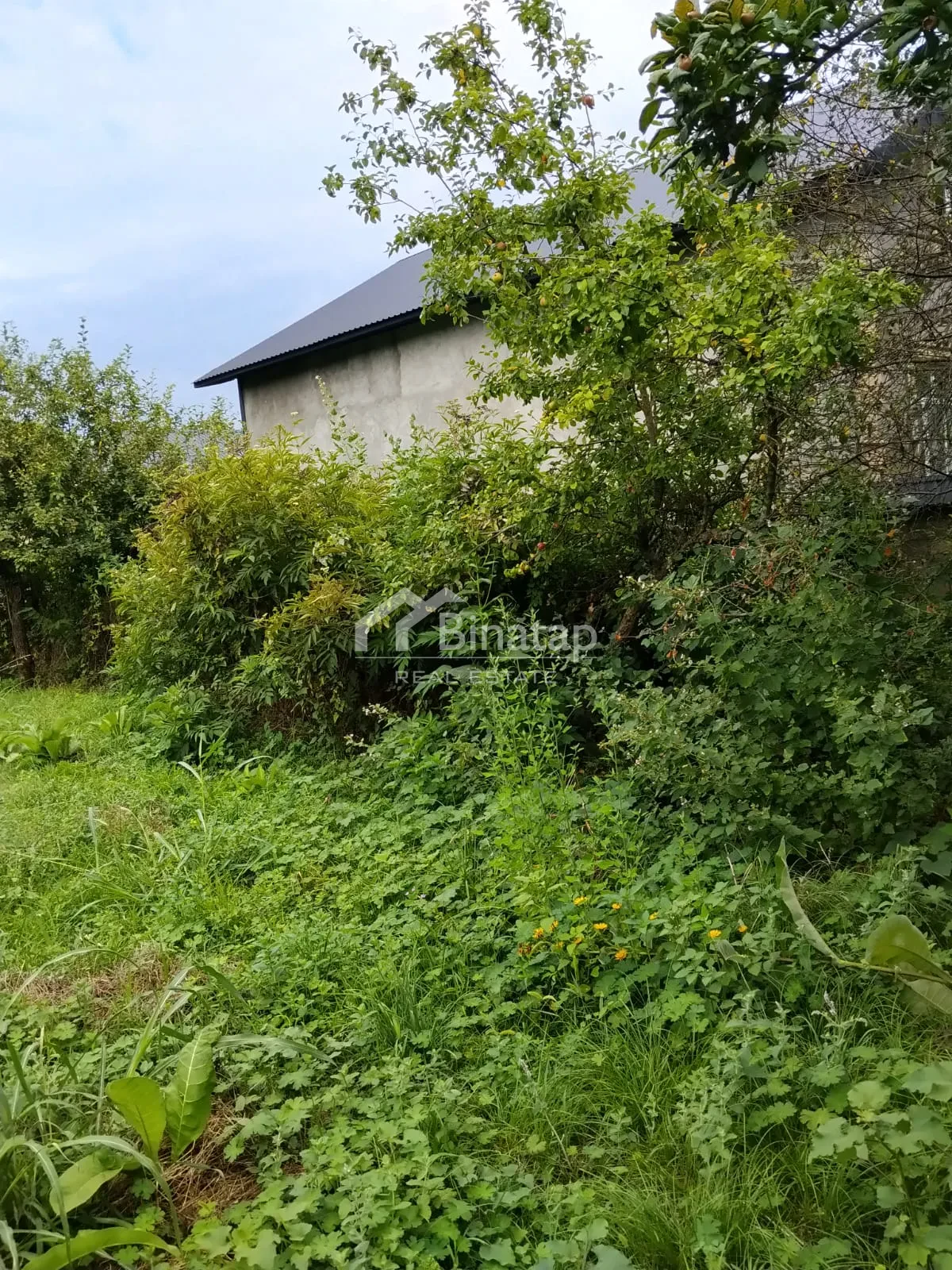 Satılır torpaq 20 sot, Qəbələ rayonu — Torpaq, Bakı (4)