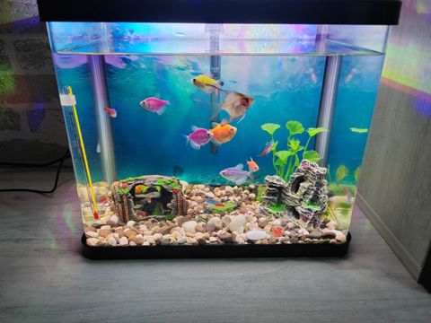 Akvarium 15 litr — Bakı