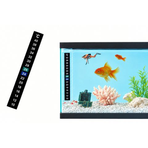 Termometr, 10-40 pH, ±1, Rəngli şkala — Bakı