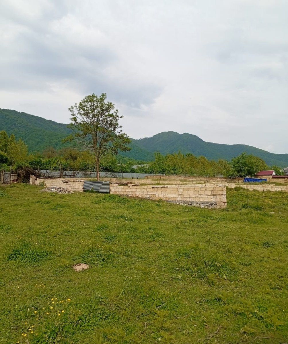 12 sot torpaq sahəsi, Qəbələ ş — Torpaq, Qəbələ (7)