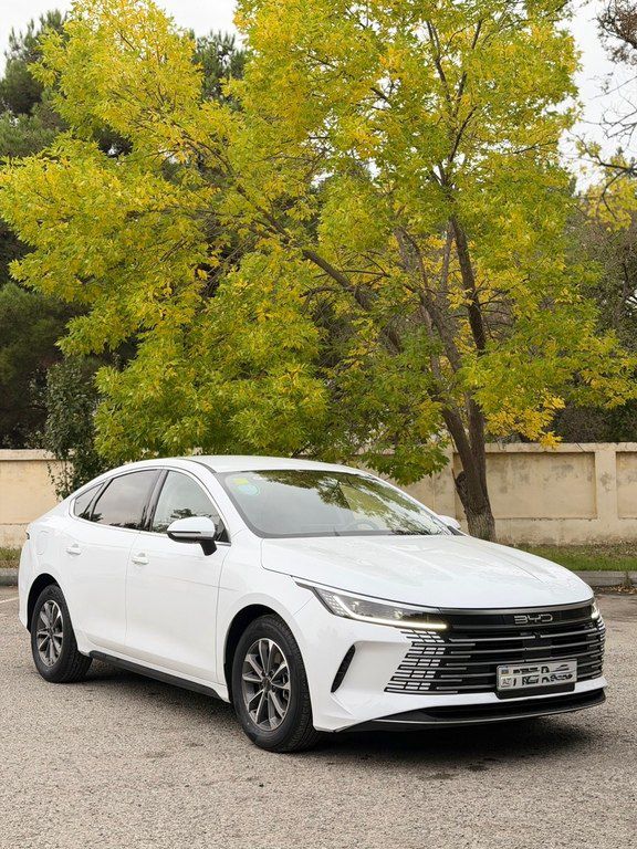 BYD Destroyer 05, 1.5 L, 18.3 kWh, 2024 il, 42 000 km — Avtomobillər, Sumqayıt (5)