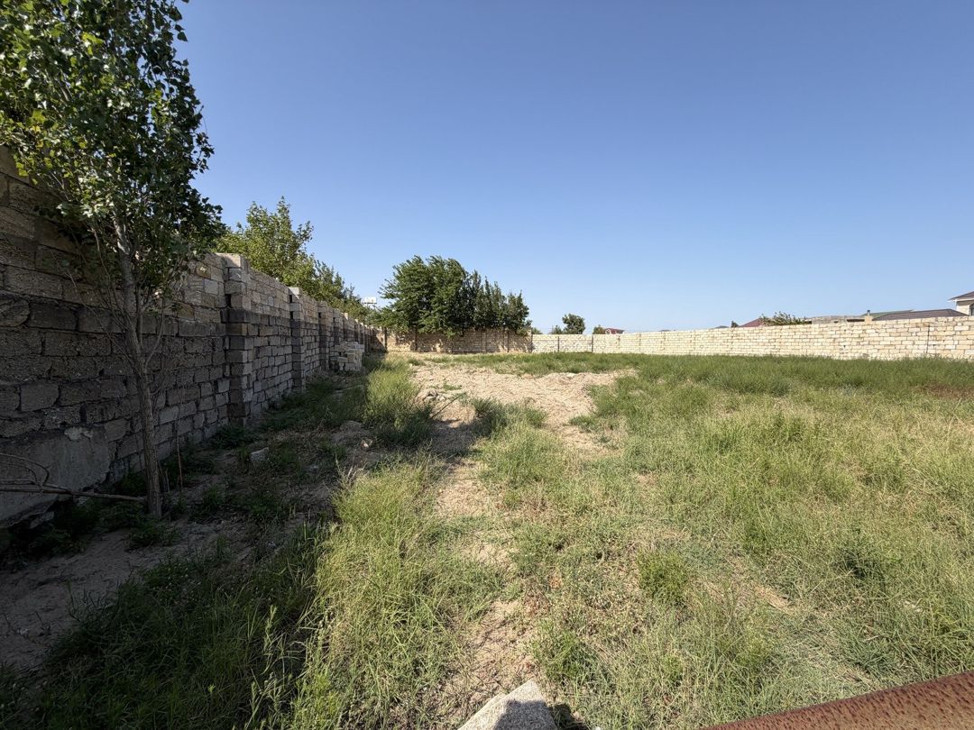 Satılır torpaq 11 sot — Torpaq, Bakı (4)