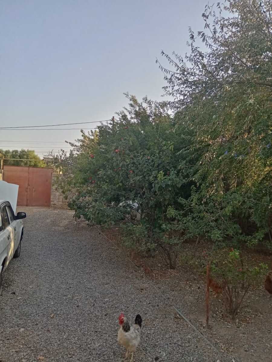 Həyət evi, Suraxanı r — Ev, villa, Bakı (3)
