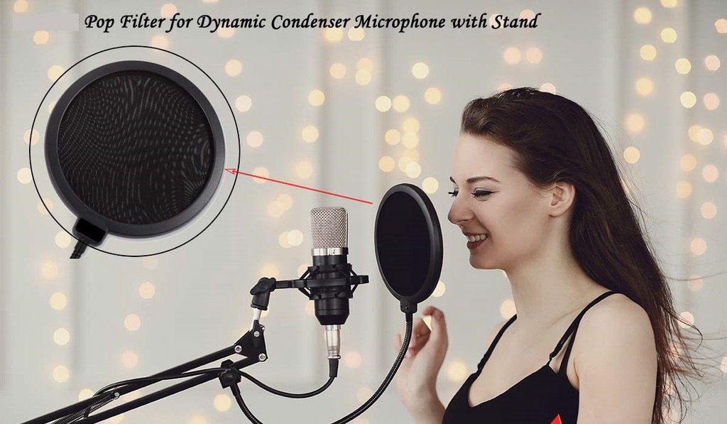 Pop filter "WS-04" — Səs texnikası, Bakı (2)