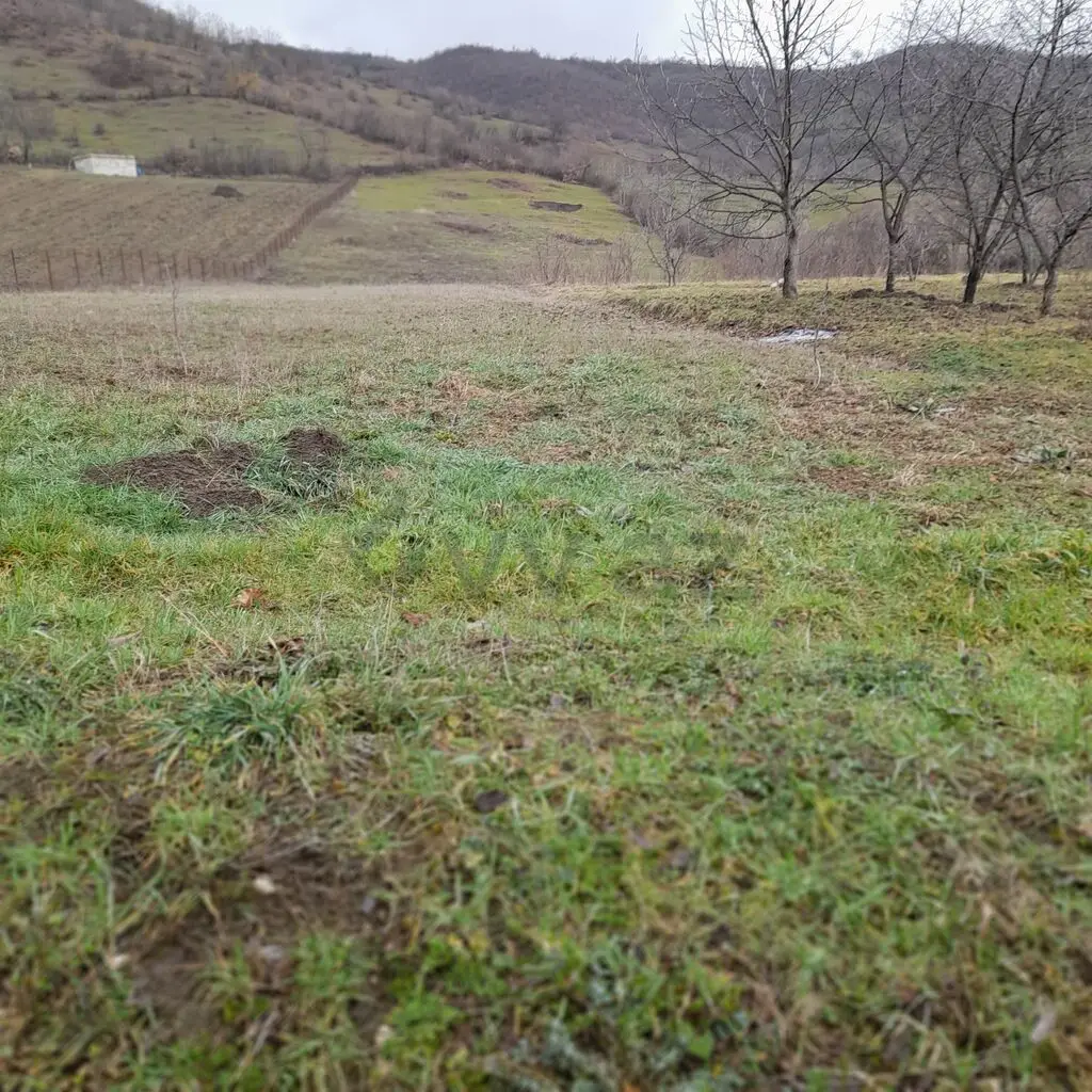 80 sot Torpaq Satılır, Quba — Torpaq, Quba (7)