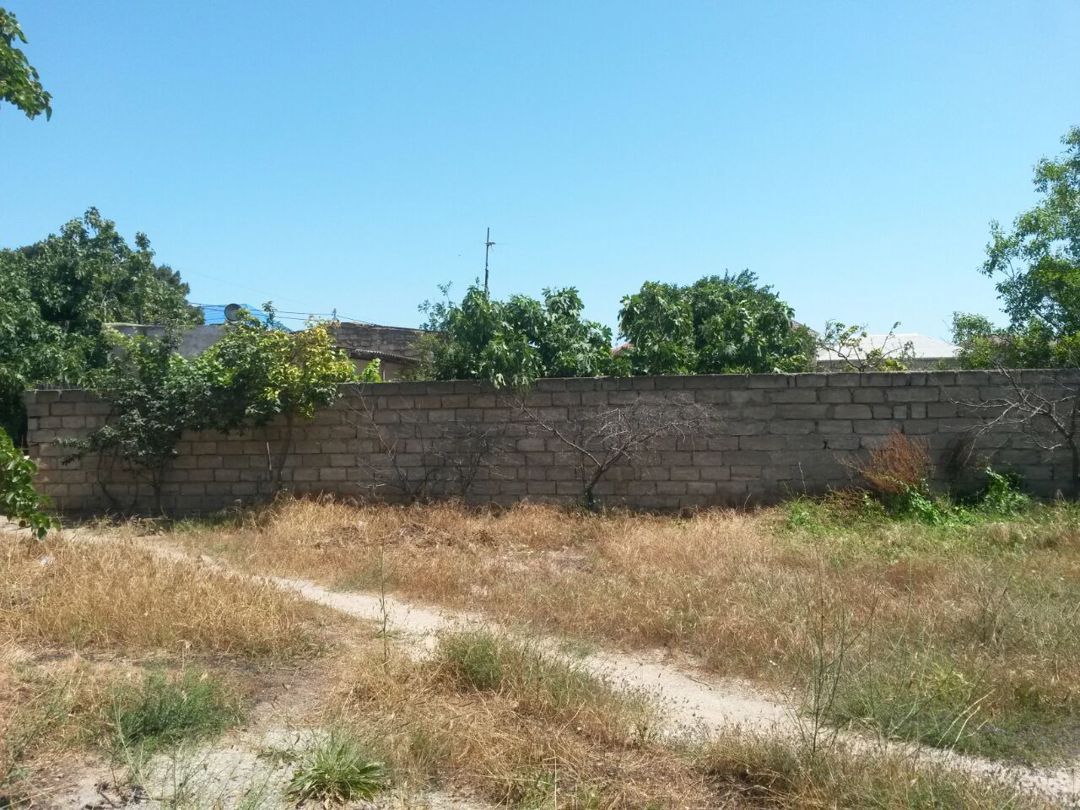 16 sot torpaq sahəsi, Buzovna qəs — Torpaq, Bakı