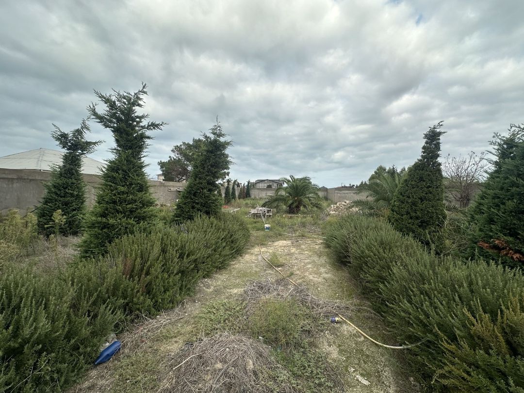 Satılır torpaq 12 sot — Torpaq, Bakı (5)