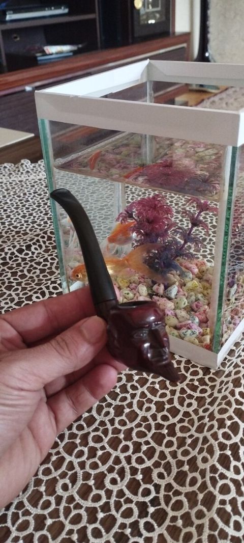 Tənbəki — Bakı