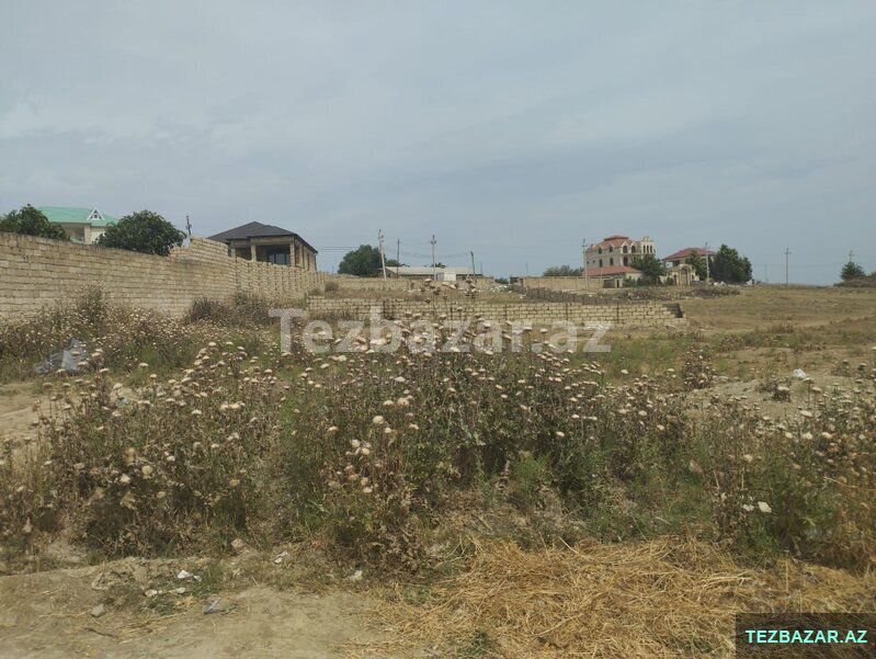 Abşeron Ayonu Saray qesebesi — Torpaq, Xırdalan (9)