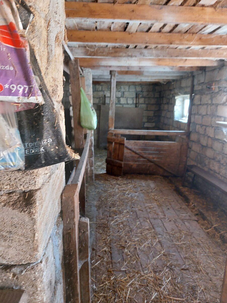 17 sot torpaq sahəsi, Şamaxı r — Torpaq, Şamaxı (4)