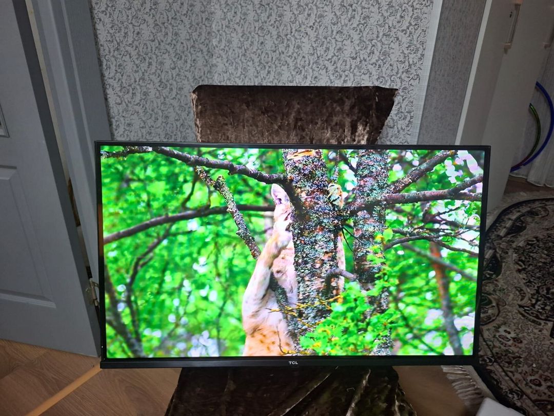 Televizor "TCL" — TV və Video, Bakı (7)