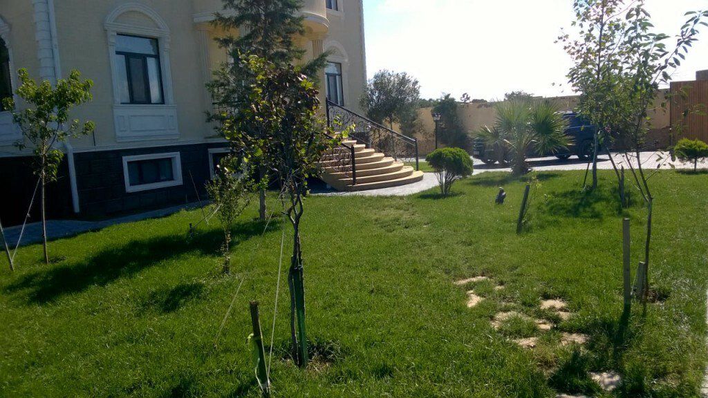 Satılır həyət evi/bağ evi 800 m² — Ev, villa, Bakı (11)