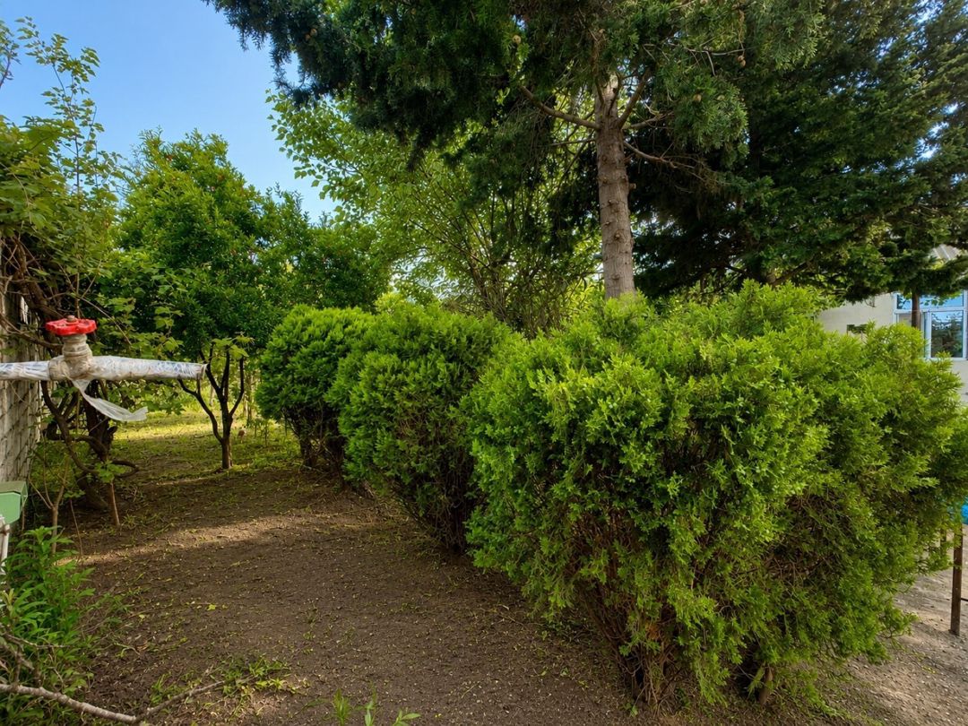 Həyət evi kirayə verilir, Kürdəxanı qəs — Ev, villa, Bakı (4)