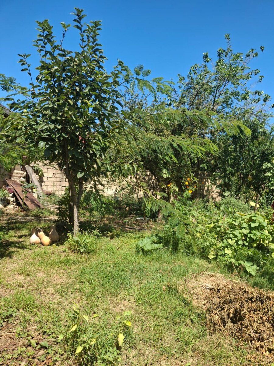 4 sot torpaq sahəsi, Kürdəxanı qəs — Torpaq, Bakı