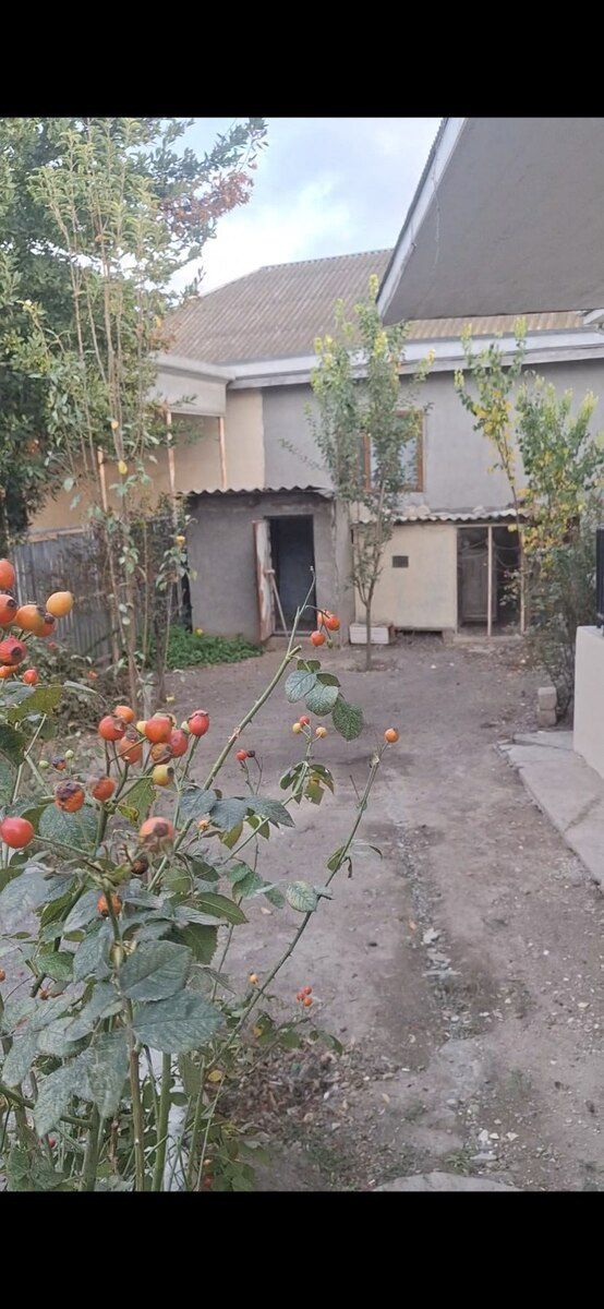3-otaqlı yeni tikili, İmişli r., 70 m² — Mənzil, İmişli (10)