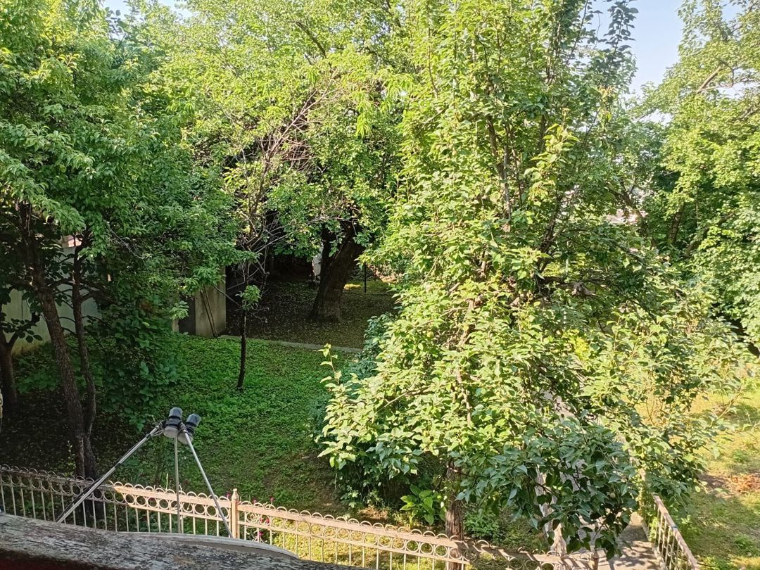Həyət evi, Şəki ş — Ev, villa, Şəki (10)