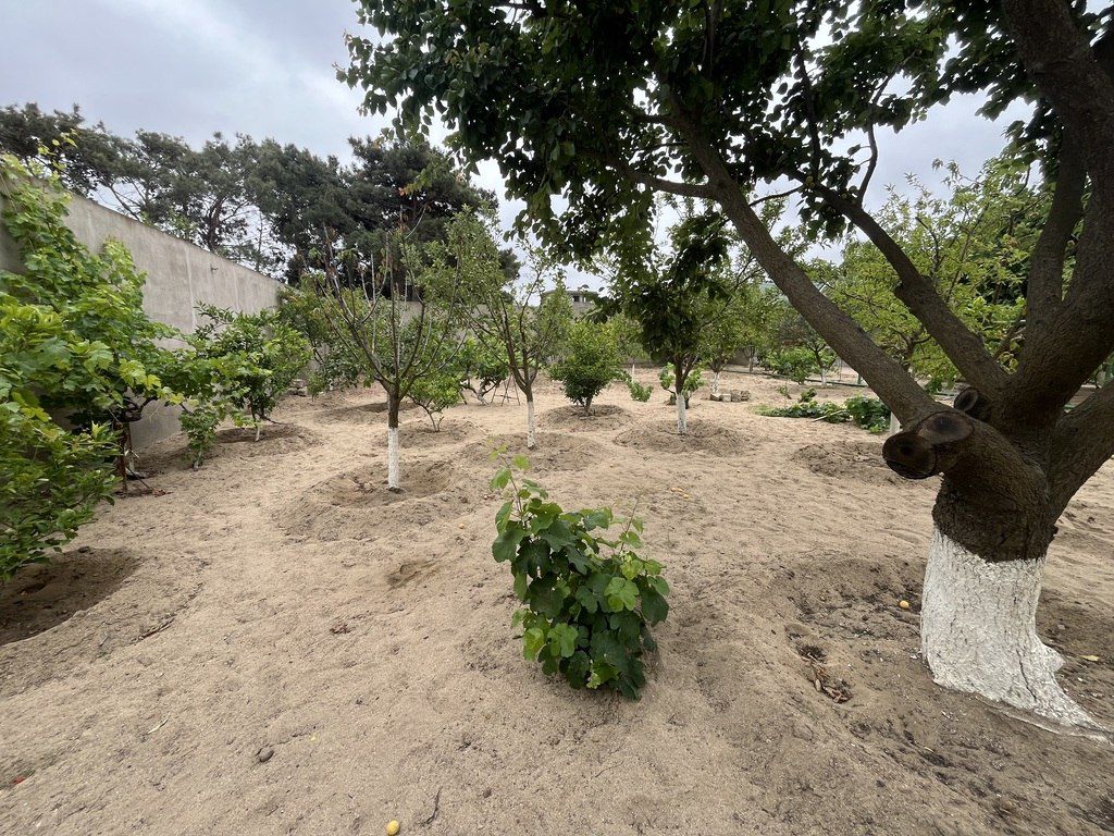 Satılır torpaq 24 sot — Torpaq, Bakı (3)
