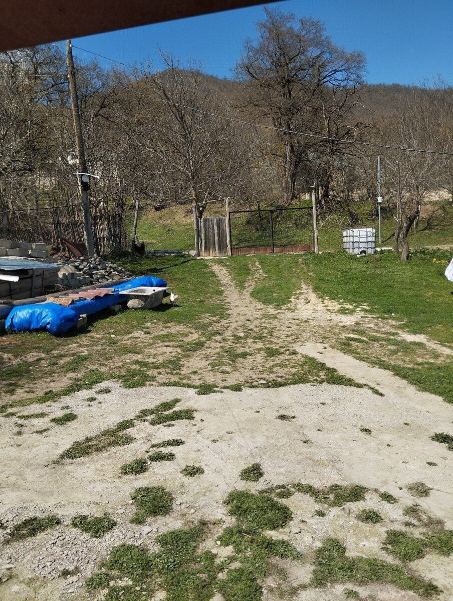4.50 sot torpaq sahəsi, Küpçal kəndi — Torpaq, Quba (8)