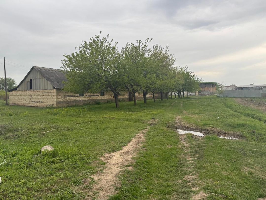 50 sot torpaq sahəsi, Tovuz rayonu — Torpaq, Tovuz (4)