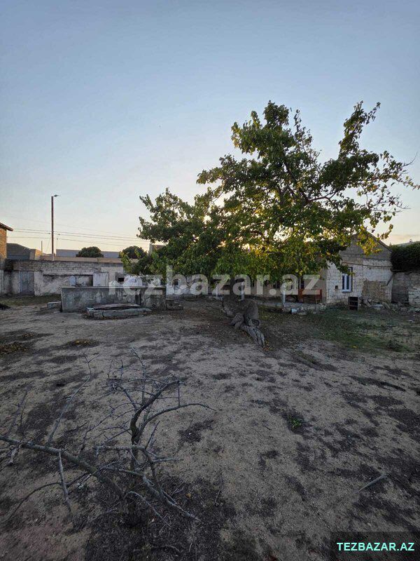12 sot torpaq sahəsi, Şüvəlan q — Torpaq, Bakı (2)
