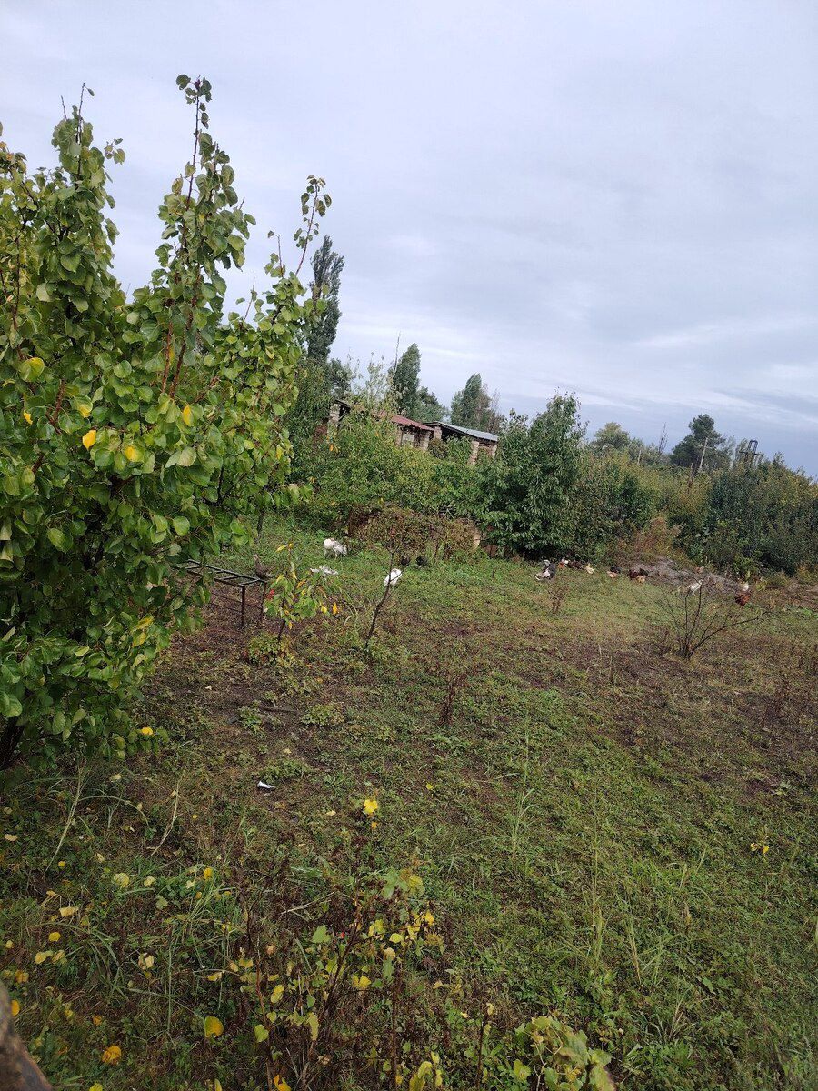 14 sot torpaq sahəsi, Xaçmaz r — Torpaq, Xaçmaz (7)