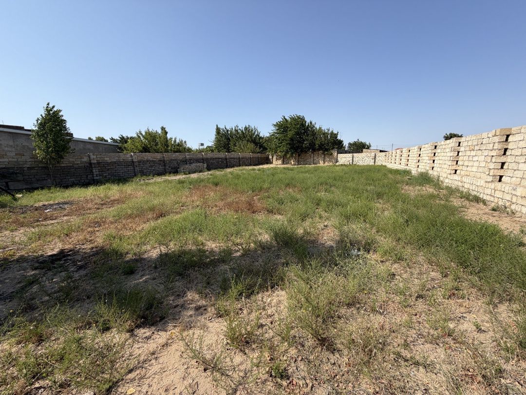Satılır torpaq 11 sot — Torpaq, Bakı (3)