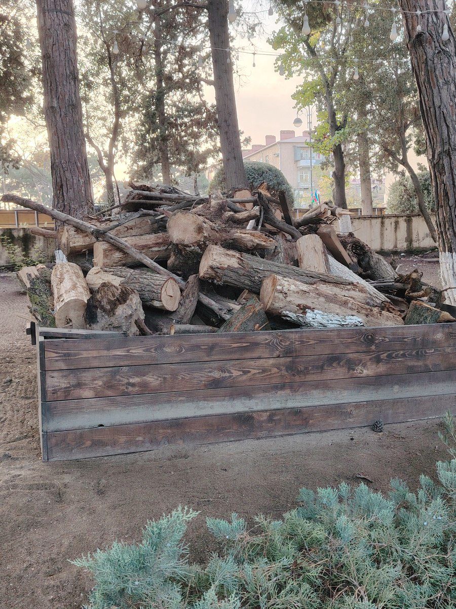 Odun — Dacha və bağ, Sumqayıt
