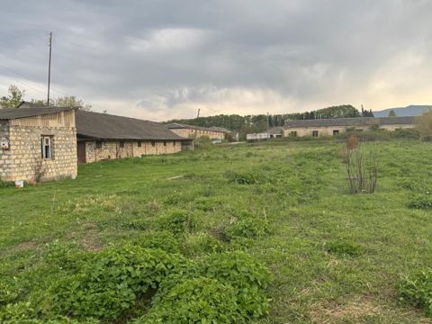 50 sot torpaq sahəsi, Tovuz rayonu — Tovuz