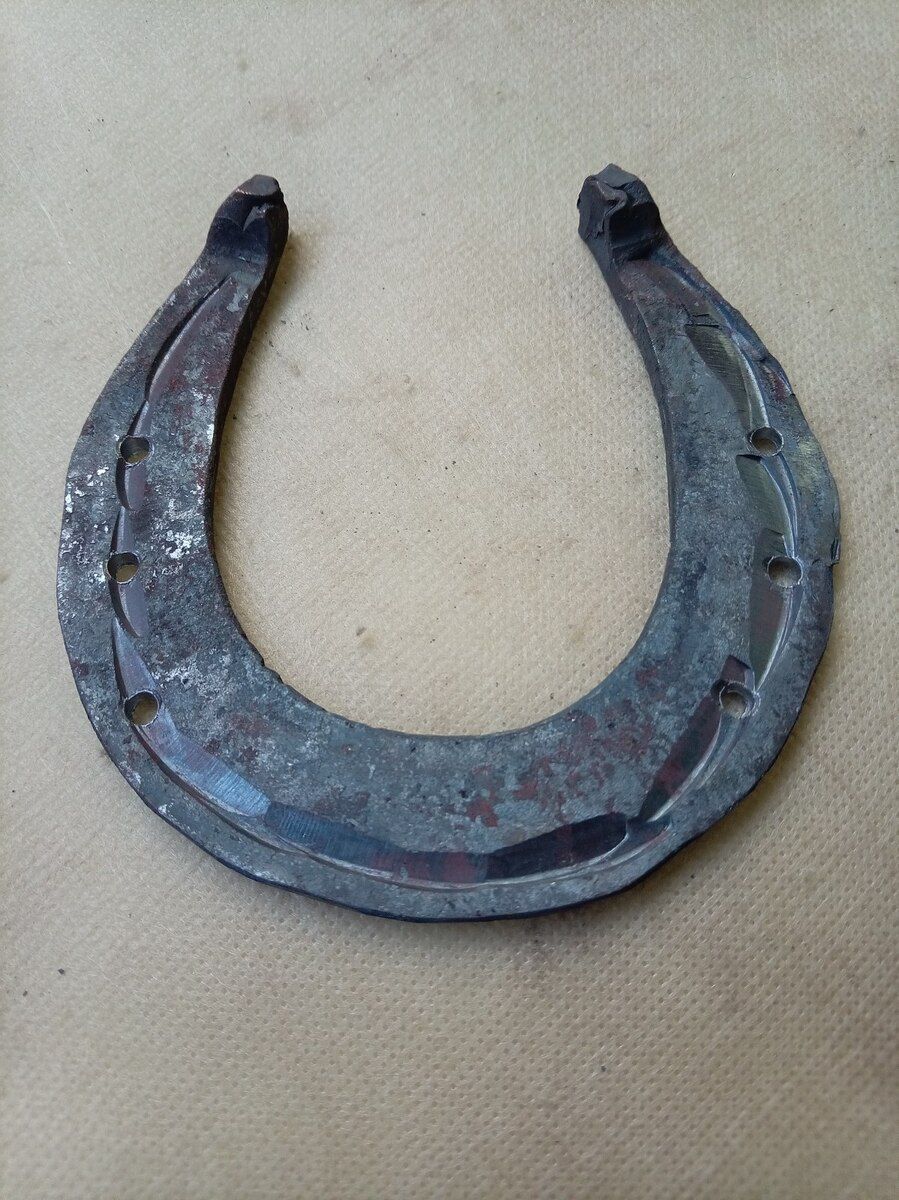 At nalı — Heyvan malları, Bakı