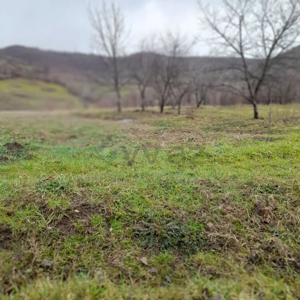 80 sot Torpaq Satılır, Quba — Torpaq, Quba (9)