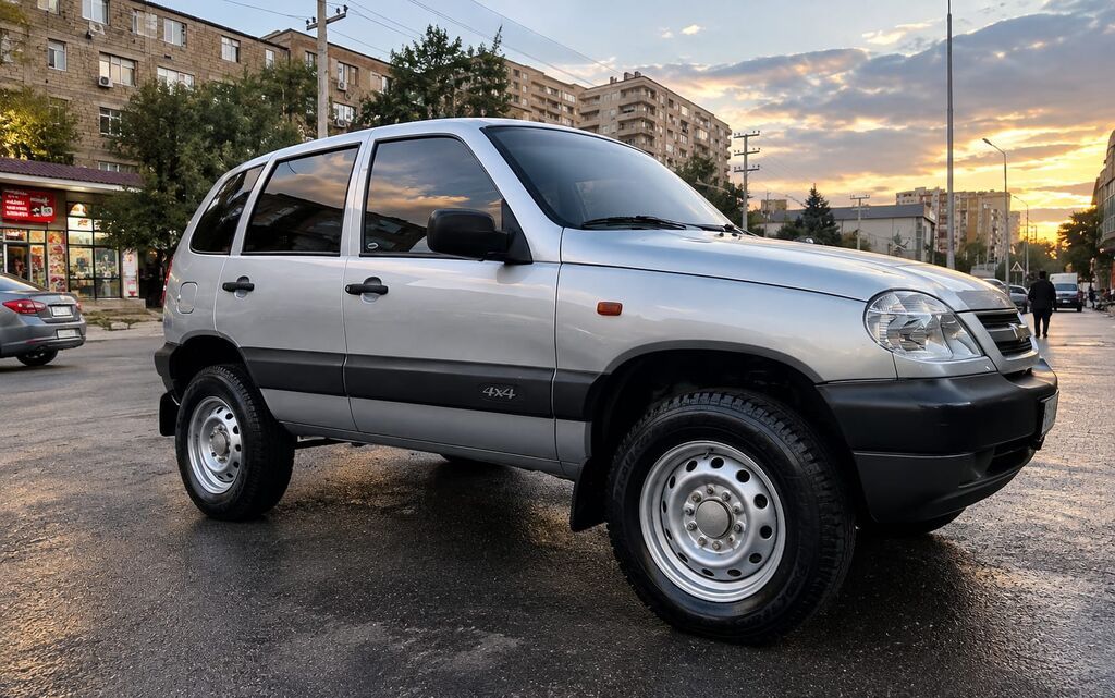 Chevrolet Nıva 1.7 2009 4x4 Mator, karobka və mostlar əla — Avtomobillər, Bakı (6)