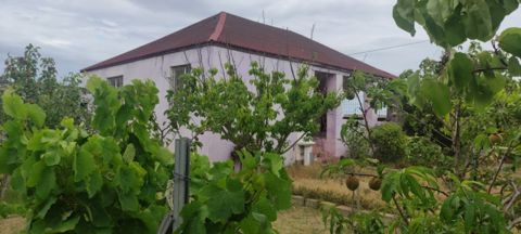 Satılır 3 otaqlı həyət evi/bağ evi 100 m² — Bakı