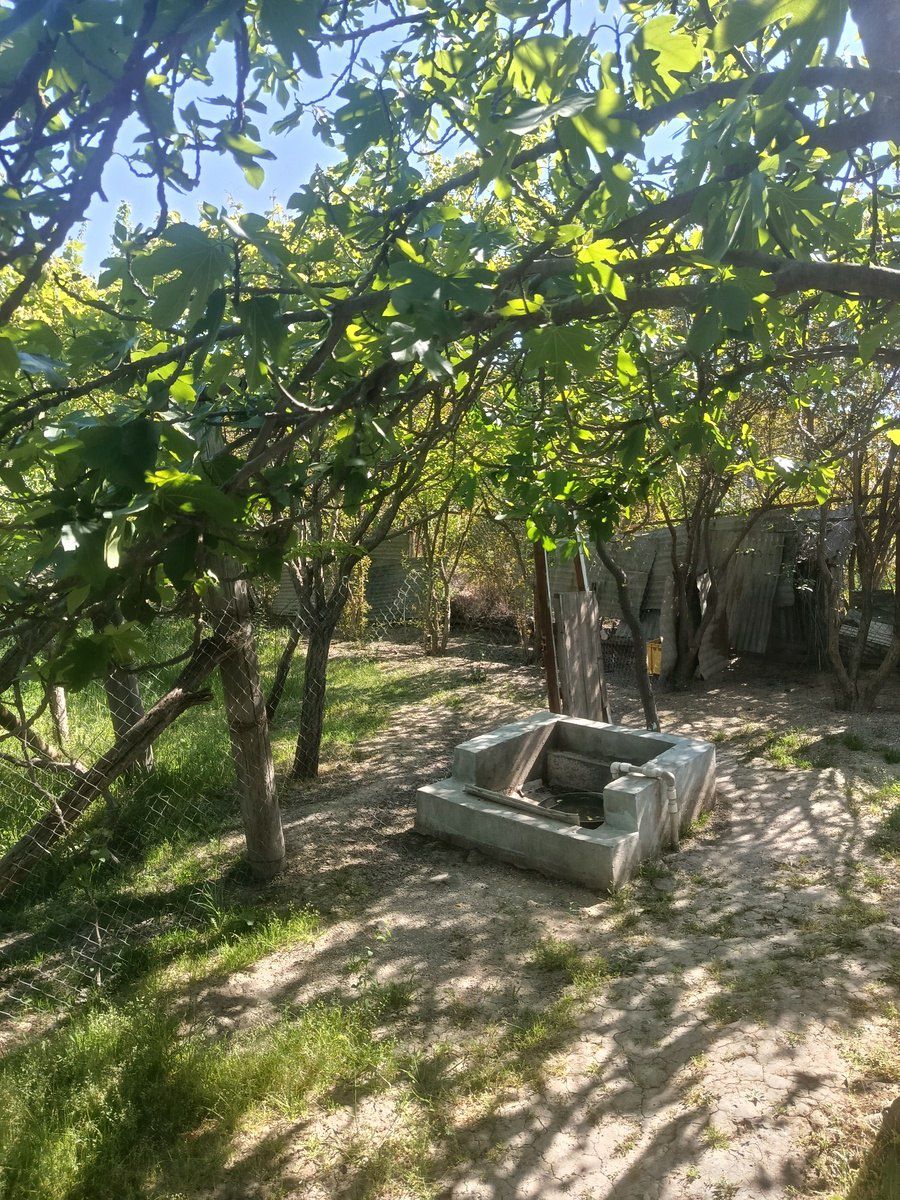 Həyət evi, Pirşağı qəs — Ev, villa, Bakı (2)