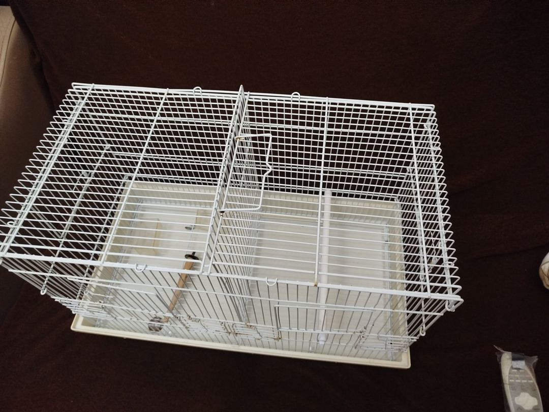 Клетка — Heyvan malları, Bakı (6)
