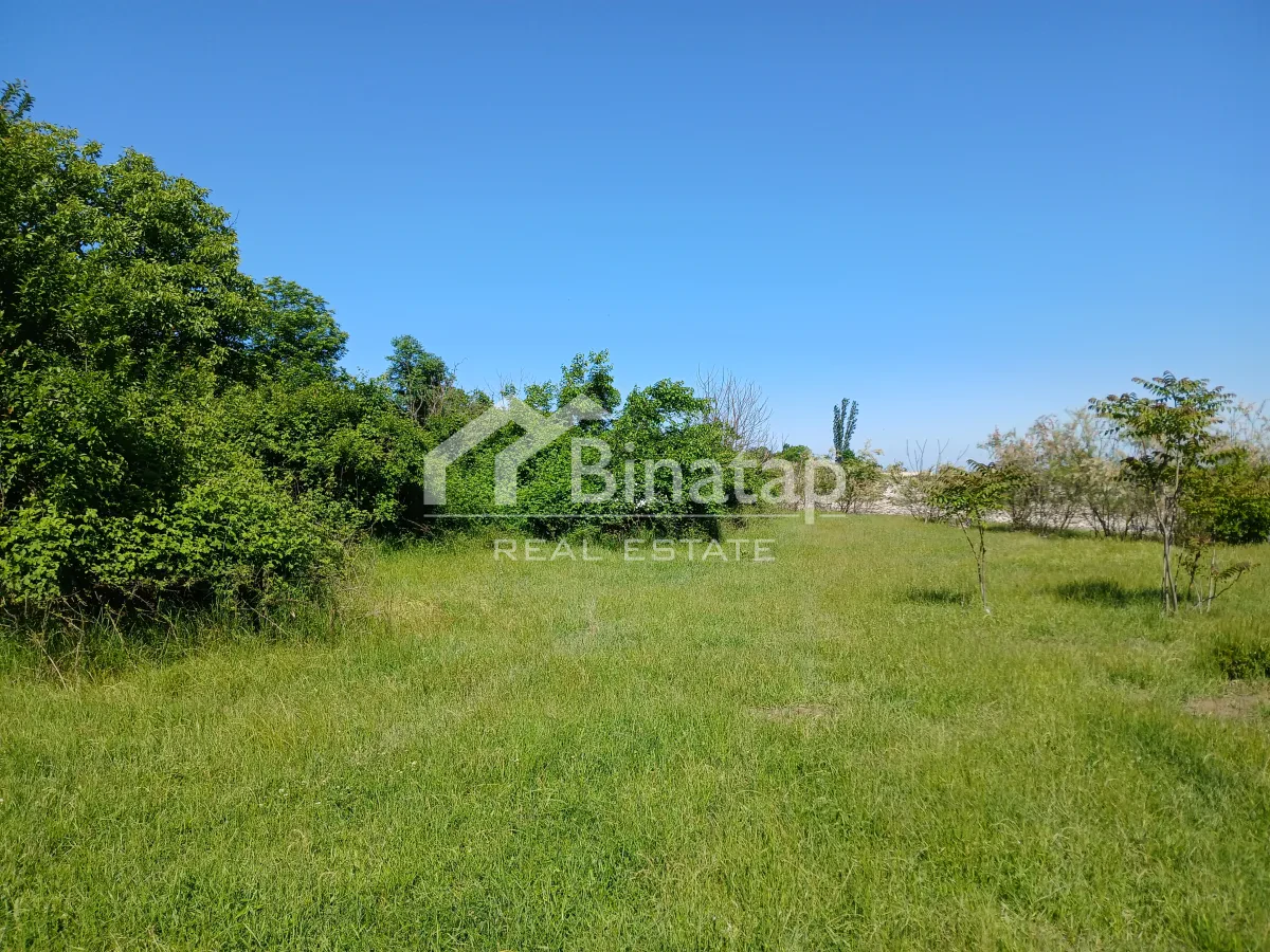 Satılır torpaq 20 sot, Quba rayonu — Torpaq, Bakı (4)
