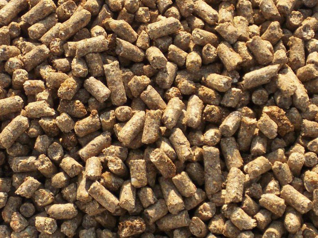Qranul və pellet yem istehsal xətti — Biznes və avadanlıq, Salyan (2)