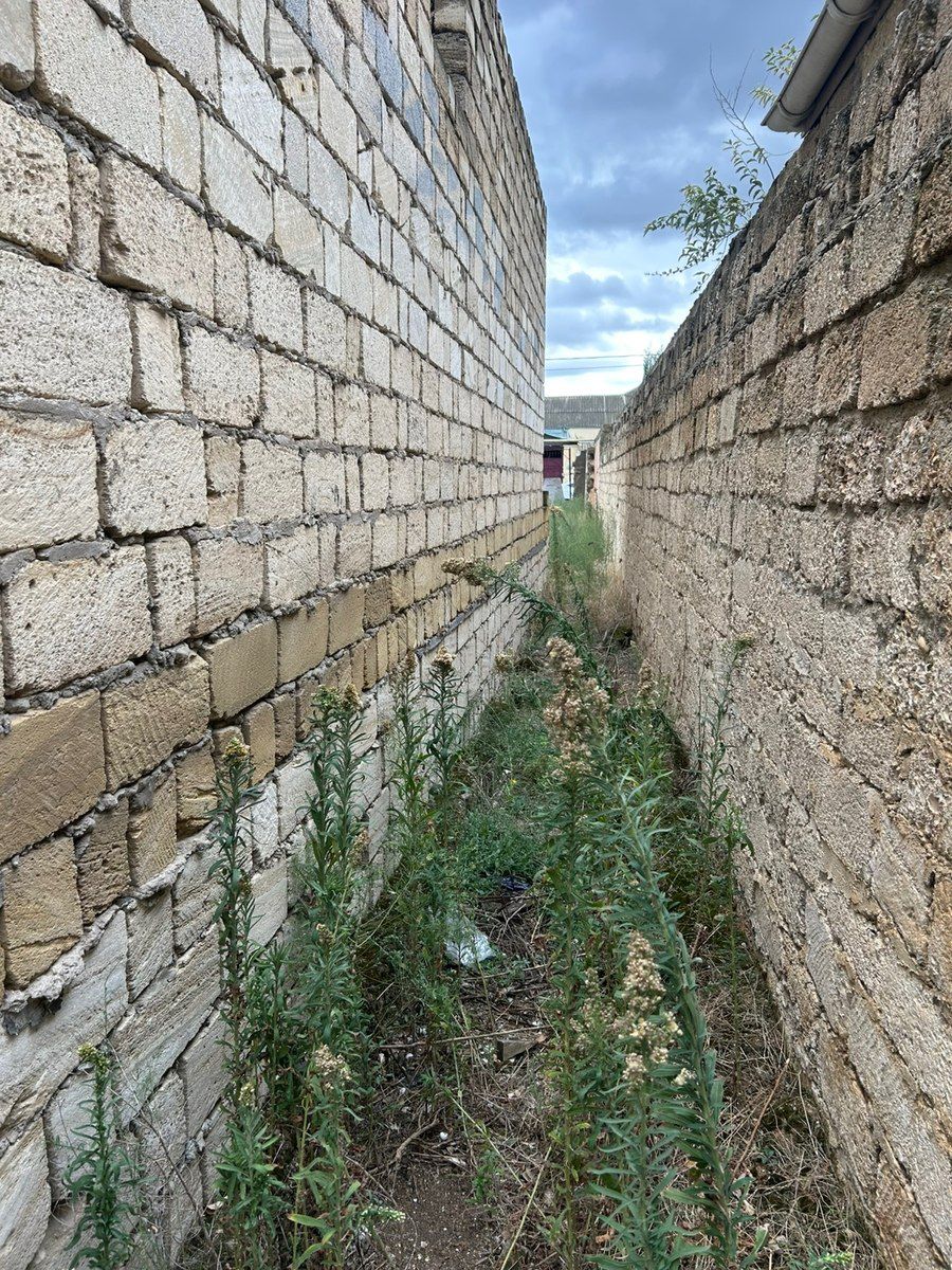 6 sot torpaq sahəsi, Buzovna qəs — Torpaq, Bakı (6)