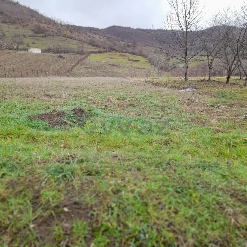 80 sot Torpaq Satılır, Quba — Torpaq, Quba (6)