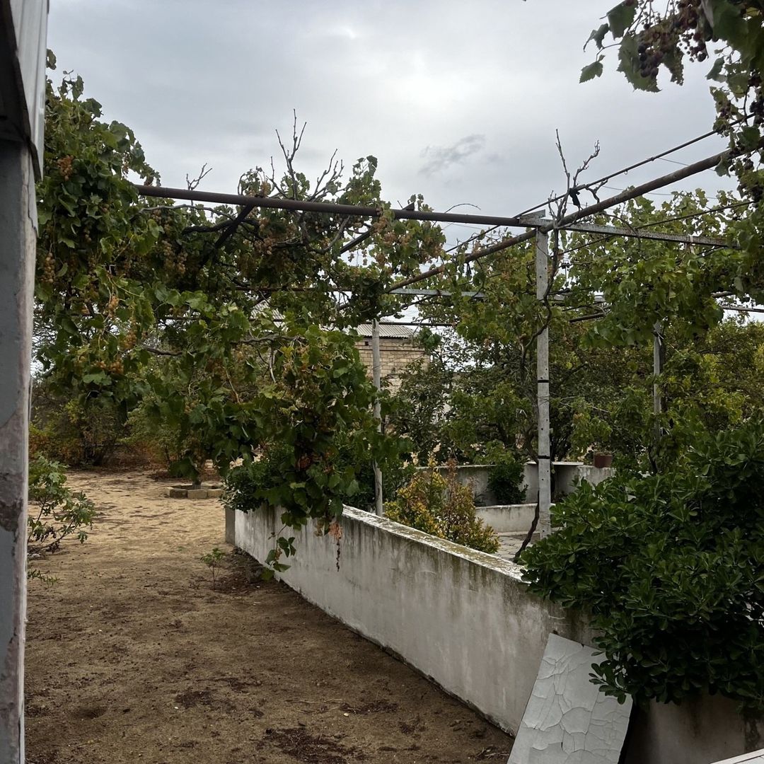 Satılır torpaq 12 sot — Torpaq, Bakı (4)