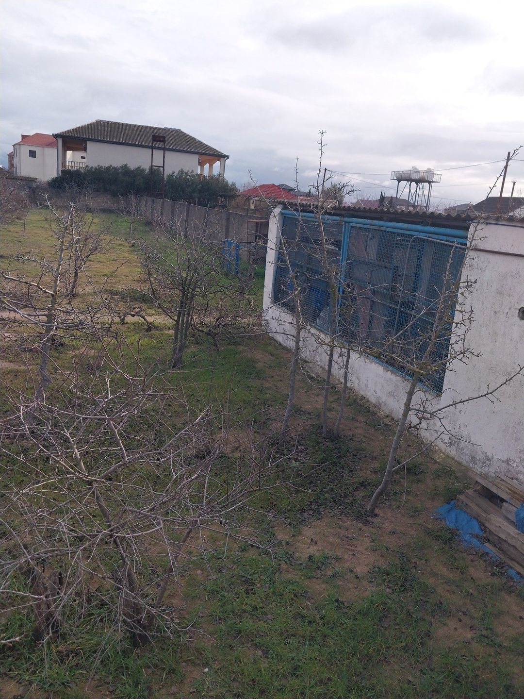 Satılır torpaq 12 sot — Torpaq, Bakı (2)