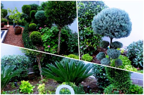 Landşaft dizayn xidmətləri — 500 ₼ · Bakı · Təmir və inşaat Landşaft dizayn xidmətləri — Bakı