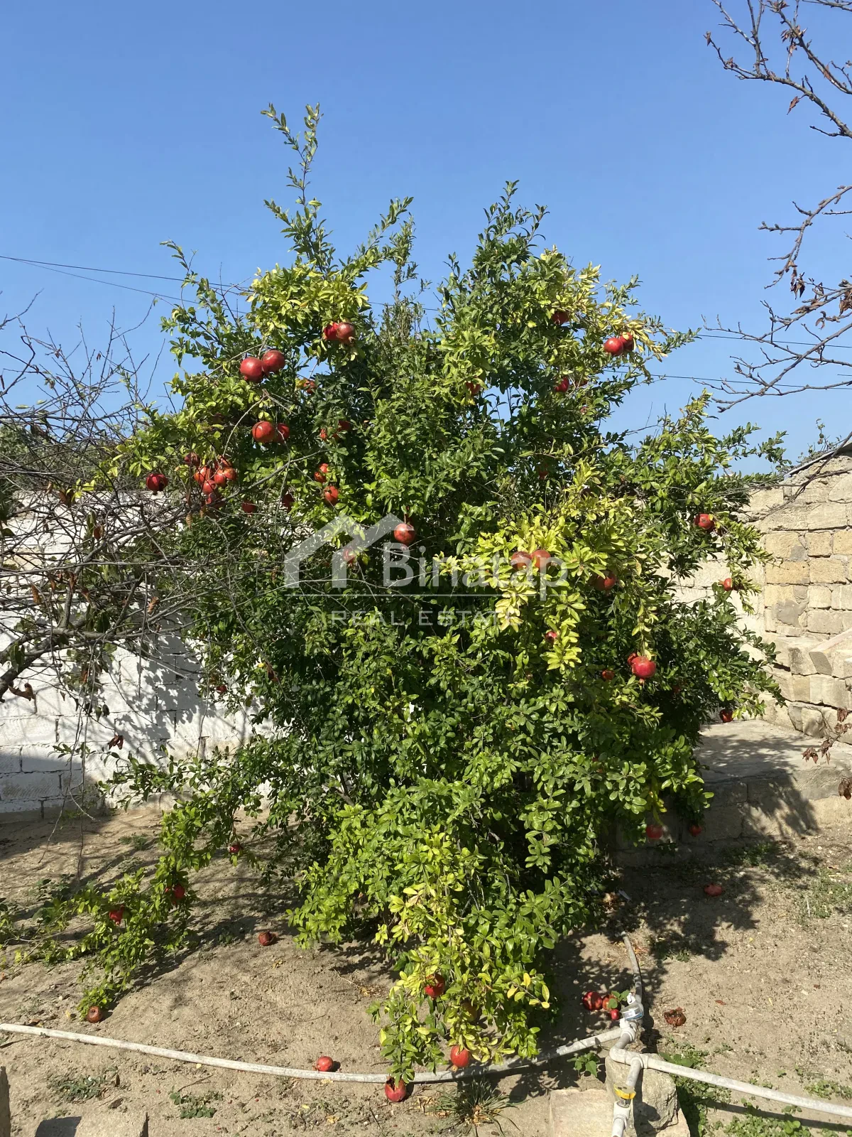 Satılır 3 otaqlı həyət evi / bağ evi 100 m², Azadlıq Prospekti metrosu, Abşeron rayonu — Ev, villa, Bakı (5)