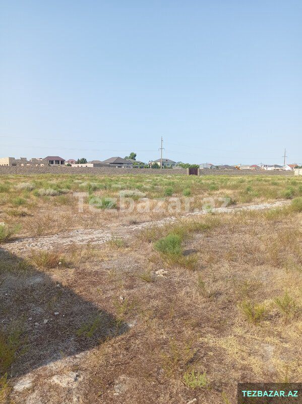 Kupçalı 12 sot torpaq — Torpaq, Bakı (10)