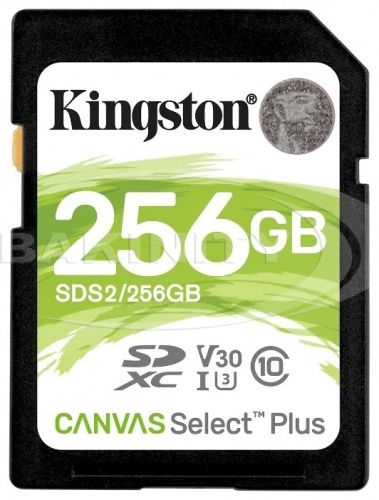Yaddaş kartı Kingston SDS2/256GB — Bakı
