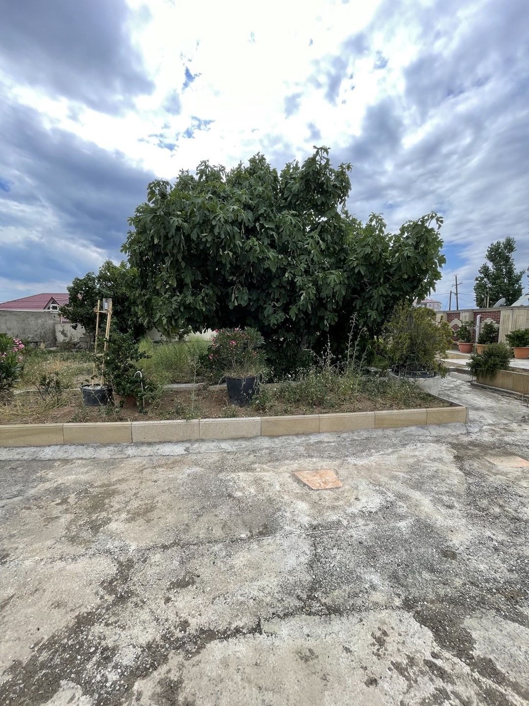 Satılır torpaq 12 sot — Torpaq, Bakı (10)