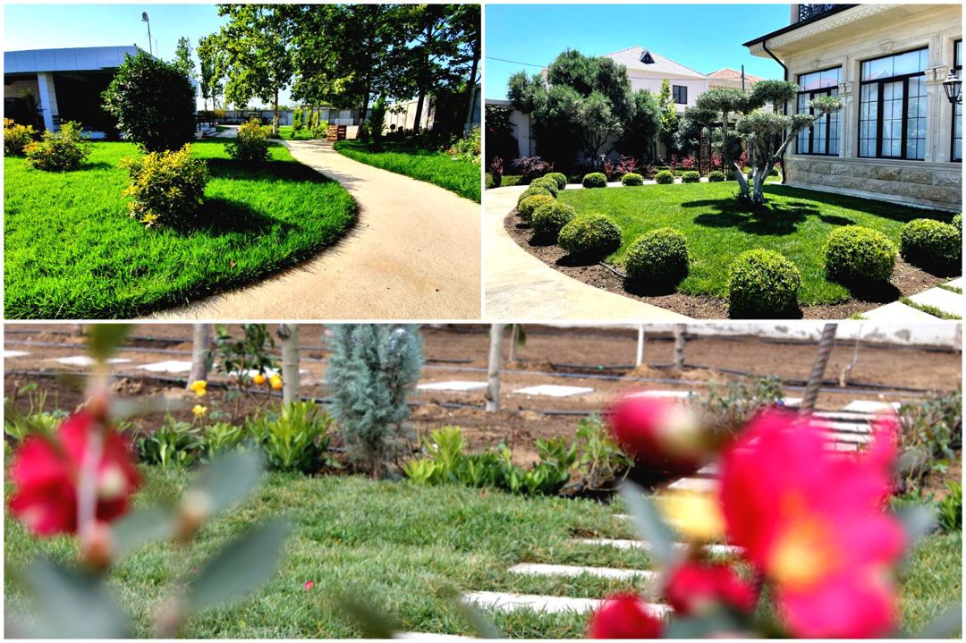 Landşaft dizayn xidmətləri — Təmir və inşaat, Bakı (7)