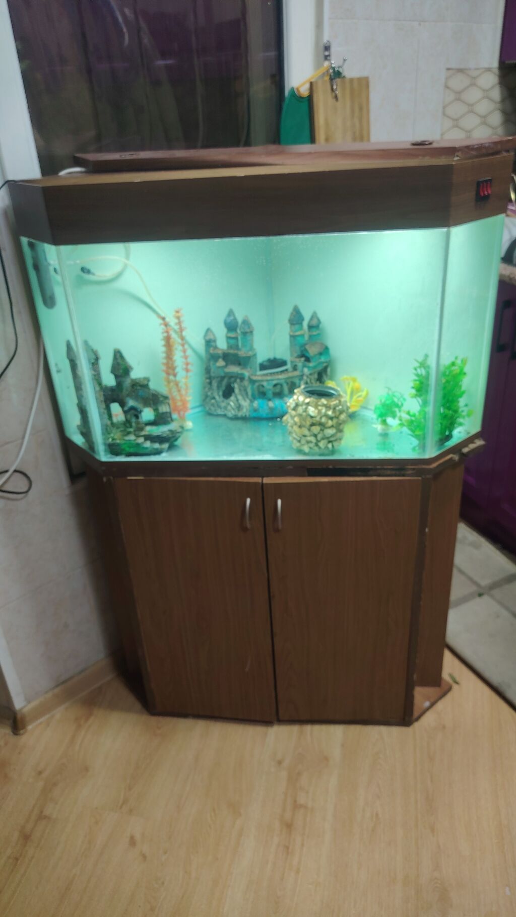 Üçbucaq akvarium, Boş, 200 l, Ünvandan götürmə — Akvariumlar və balıqlar, Bakı