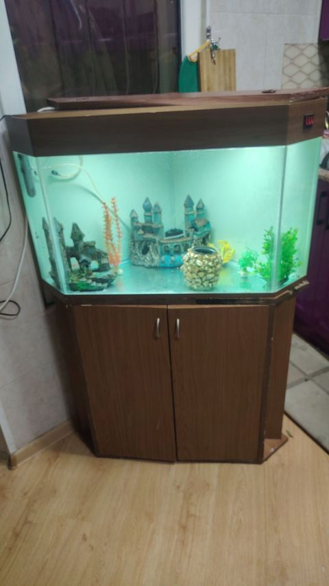 Üçbucaq akvarium, Boş, 200 l, Ünvandan götürmə — Bakı