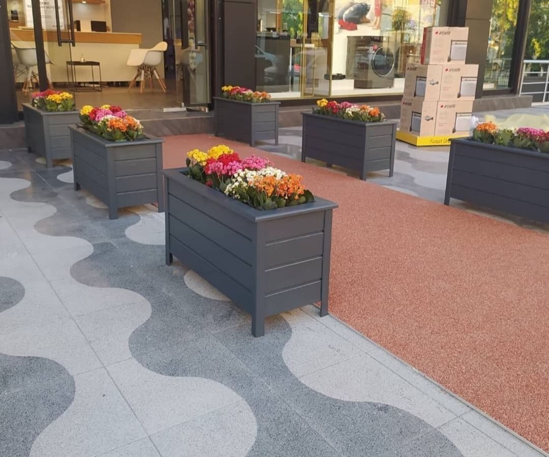 Restoranlar üçün dibçəklər — Bitkilər, Bakı (2)