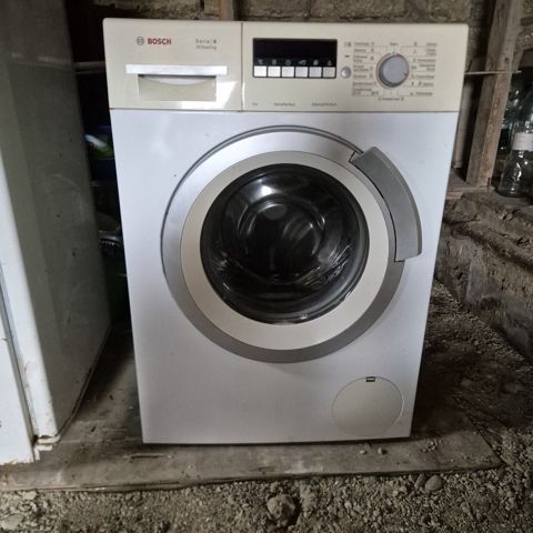 Paltaryuyan Bosch — Bakı
